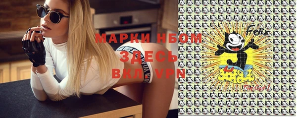 ПСИЛОЦИБИНОВЫЕ ГРИБЫ Алзамай