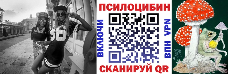 Галлюциногенные грибы MAGIC MUSHROOMS  наркошоп  Багратионовск 